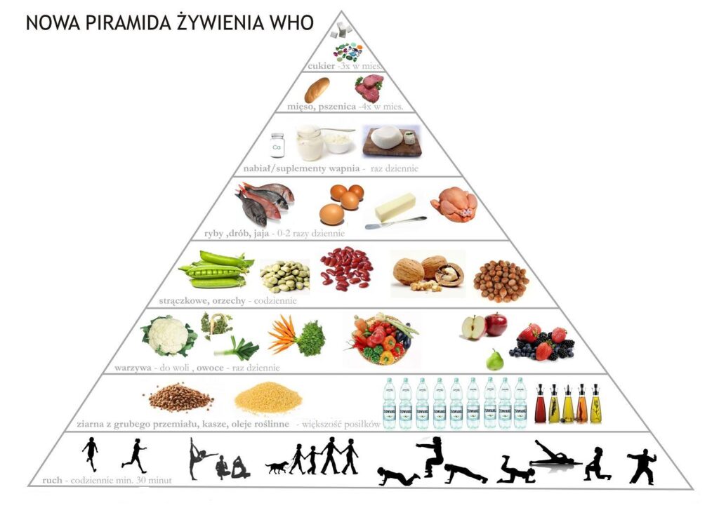 Piramida żywieniowa WHO. Europejski Dzień Zdrowego Jedzenia i Gotowania